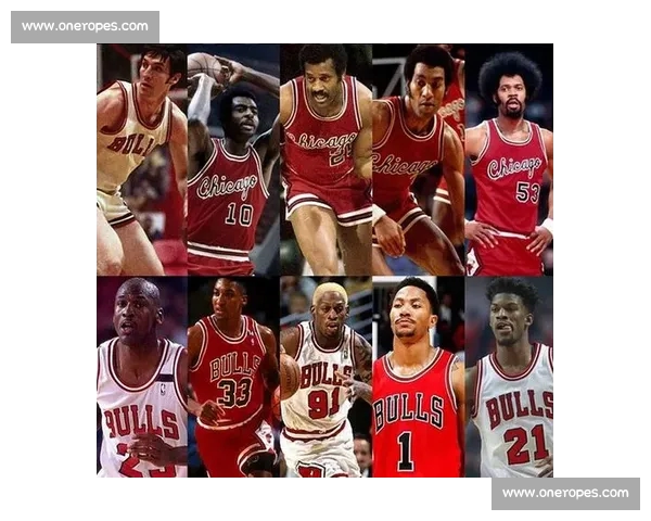 NBA最新赛季战况全面解析各队胜负走势与球星表现