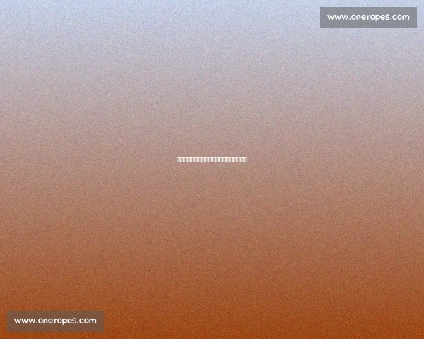 中国队逆转夺冠创造历史赛季精彩瞬间全记录